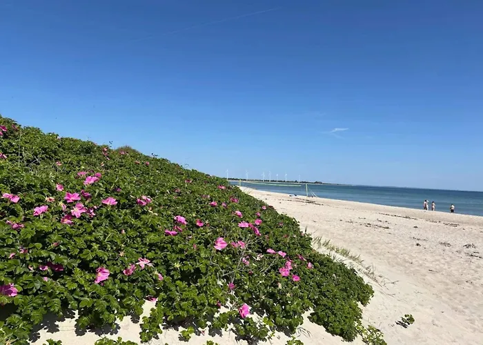 3 Person In Sydals-by Traum Nyaraló *